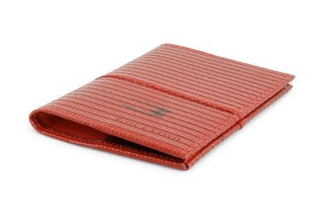 Passport Cover | Fire-hose
